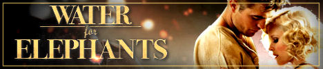 Water for elephants essay